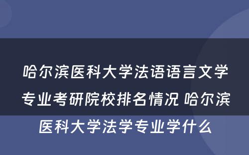 哈尔滨医科大学法语语言文学专业考研院校排名情况 哈尔滨医科大学法学专业学什么