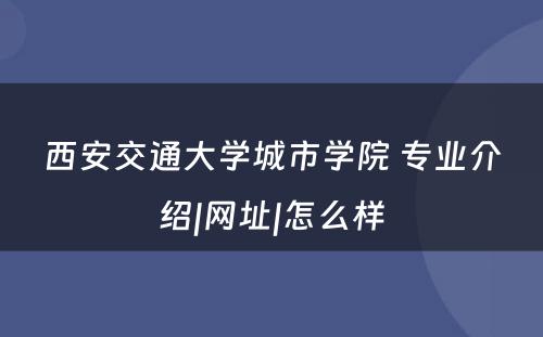 西安交通大学城市学院 专业介绍|网址|怎么样