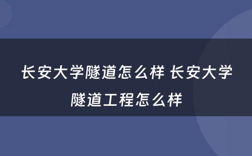 长安大学隧道怎么样 长安大学隧道工程怎么样