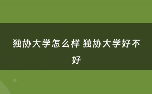 独协大学怎么样 独协大学好不好