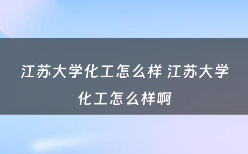 江苏大学化工怎么样 江苏大学化工怎么样啊