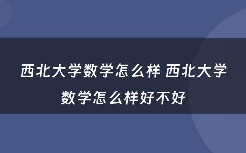 西北大学数学怎么样 西北大学数学怎么样好不好