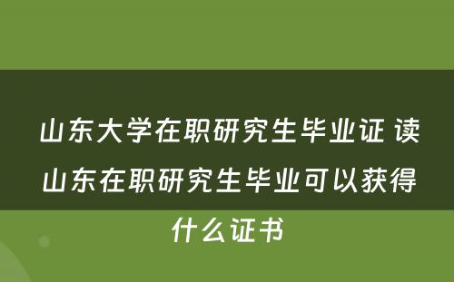 山东大学在职研究生毕业证 读山东在职研究生毕业可以获得什么证书