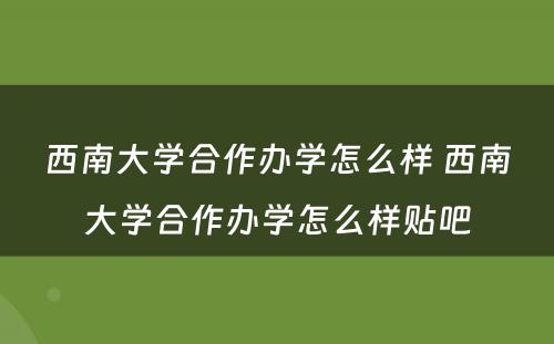 西南大学合作办学怎么样 西南大学合作办学怎么样贴吧