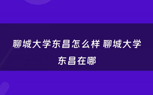 聊城大学东昌怎么样 聊城大学东昌在哪