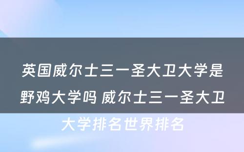 英国威尔士三一圣大卫大学是野鸡大学吗 威尔士三一圣大卫大学排名世界排名