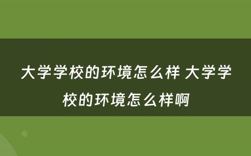 大学学校的环境怎么样 大学学校的环境怎么样啊