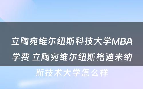 立陶宛维尔纽斯科技大学MBA学费 立陶宛维尔纽斯格迪米纳斯技术大学怎么样