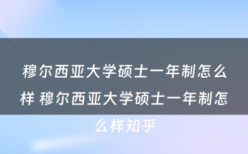 穆尔西亚大学硕士一年制怎么样 穆尔西亚大学硕士一年制怎么样知乎