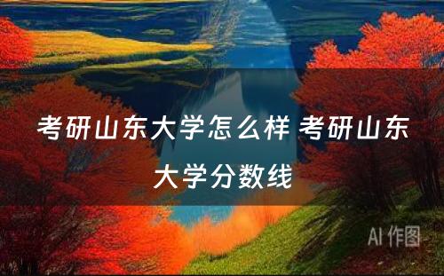 考研山东大学怎么样 考研山东大学分数线