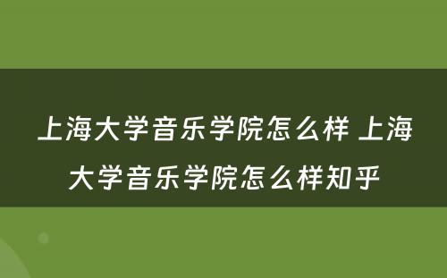 上海大学音乐学院怎么样 上海大学音乐学院怎么样知乎