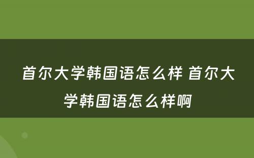 首尔大学韩国语怎么样 首尔大学韩国语怎么样啊