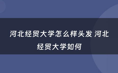 河北经贸大学怎么样头发 河北经贸大学如何