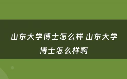 山东大学博士怎么样 山东大学博士怎么样啊
