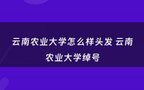 云南农业大学怎么样头发 云南农业大学绰号