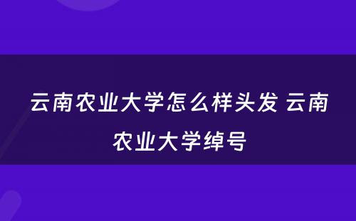 云南农业大学怎么样头发 云南农业大学绰号