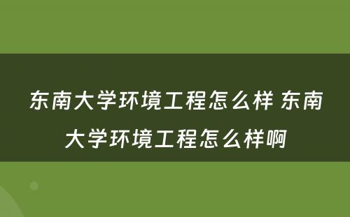 东南大学环境工程怎么样 东南大学环境工程怎么样啊