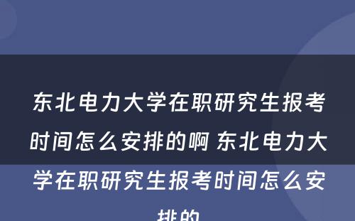 东北电力大学在职研究生报考时间怎么安排的啊 东北电力大学在职研究生报考时间怎么安排的