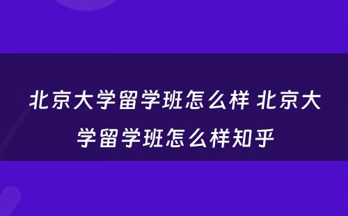 北京大学留学班怎么样 北京大学留学班怎么样知乎