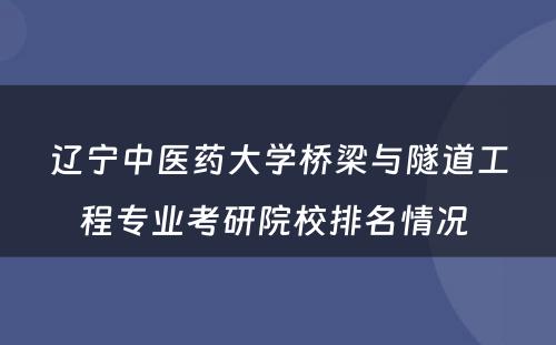 辽宁中医药大学桥梁与隧道工程专业考研院校排名情况 