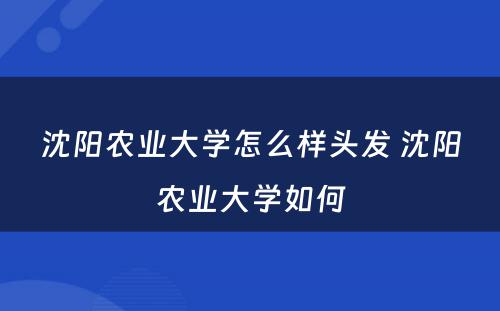 沈阳农业大学怎么样头发 沈阳农业大学如何