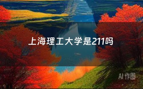 上海理工大学是211吗 