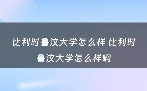 比利时鲁汶大学怎么样 比利时鲁汶大学怎么样啊