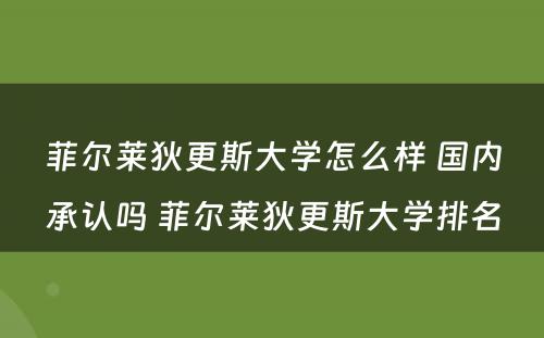 菲尔莱狄更斯大学怎么样 国内承认吗 菲尔莱狄更斯大学排名