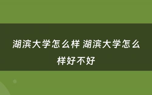 湖滨大学怎么样 湖滨大学怎么样好不好