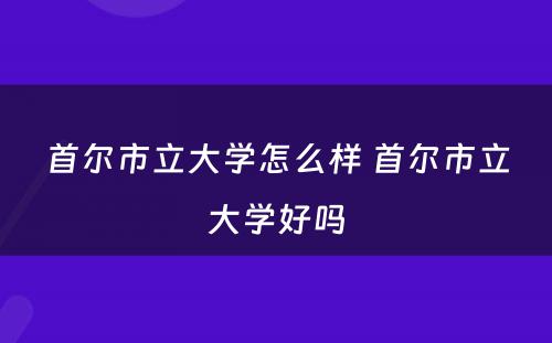 首尔市立大学怎么样 首尔市立大学好吗