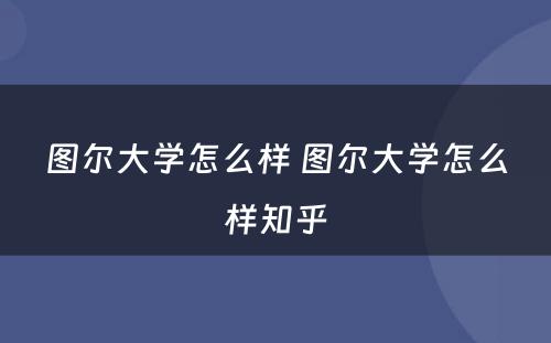 图尔大学怎么样 图尔大学怎么样知乎