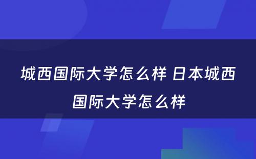 城西国际大学怎么样 日本城西国际大学怎么样