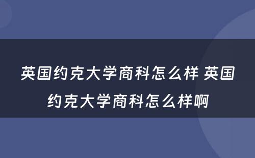 英国约克大学商科怎么样 英国约克大学商科怎么样啊