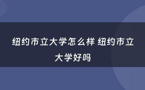 纽约市立大学怎么样 纽约市立大学好吗