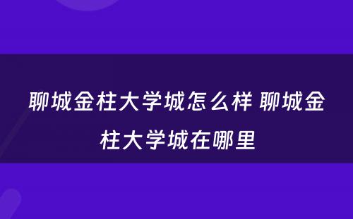 聊城金柱大学城怎么样 聊城金柱大学城在哪里