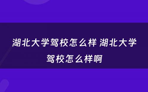 湖北大学驾校怎么样 湖北大学驾校怎么样啊