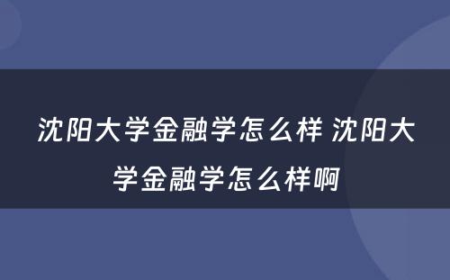 沈阳大学金融学怎么样 沈阳大学金融学怎么样啊