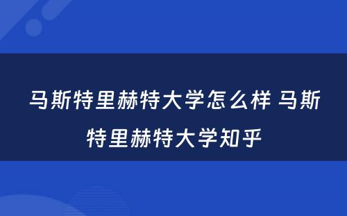 马斯特里赫特大学怎么样 马斯特里赫特大学知乎