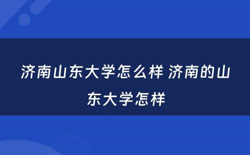 济南山东大学怎么样 济南的山东大学怎样