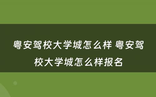 粤安驾校大学城怎么样 粤安驾校大学城怎么样报名