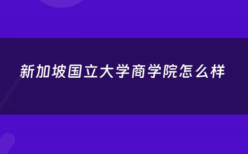 新加坡国立大学商学院怎么样 