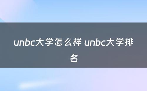 unbc大学怎么样 unbc大学排名