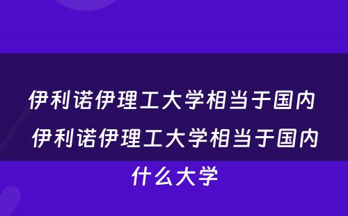 伊利诺伊理工大学相当于国内 伊利诺伊理工大学相当于国内什么大学
