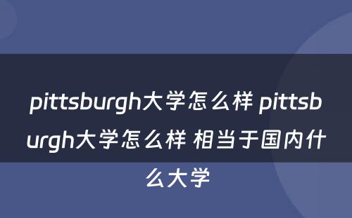 pittsburgh大学怎么样 pittsburgh大学怎么样 相当于国内什么大学