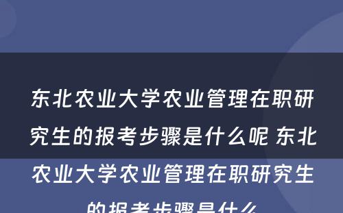 东北农业大学农业管理在职研究生的报考步骤是什么呢 东北农业大学农业管理在职研究生的报考步骤是什么