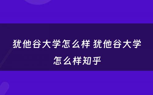 犹他谷大学怎么样 犹他谷大学怎么样知乎
