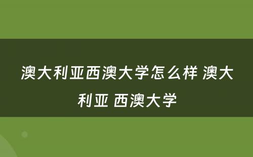澳大利亚西澳大学怎么样 澳大利亚 西澳大学