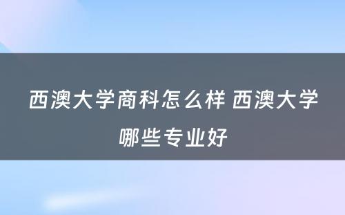 西澳大学商科怎么样 西澳大学哪些专业好