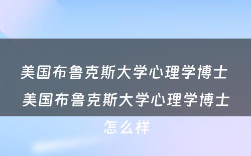 美国布鲁克斯大学心理学博士 美国布鲁克斯大学心理学博士怎么样