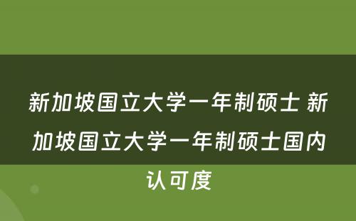 新加坡国立大学一年制硕士 新加坡国立大学一年制硕士国内认可度